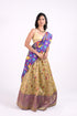 Beige & Purple Benaras Silk Lehenga